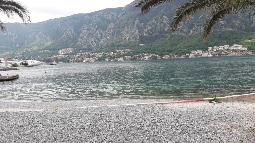 Apartment Todor Kotor Buitenkant foto